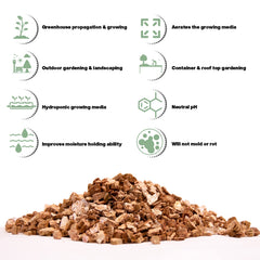 Viagrow used in seed-starting tray supporting healthy germination and root growth