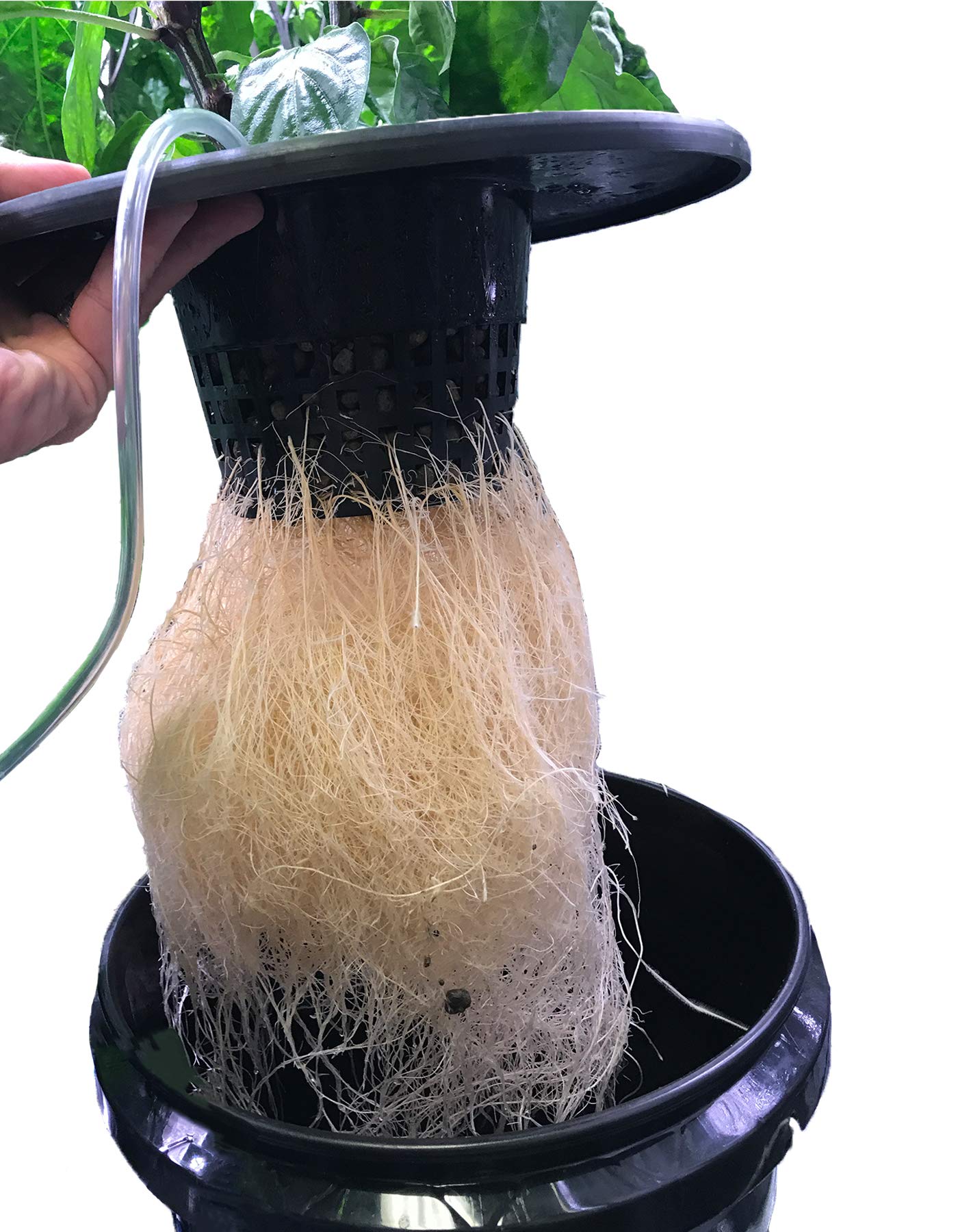 Viagrow used in a home grow room illustrating practical application