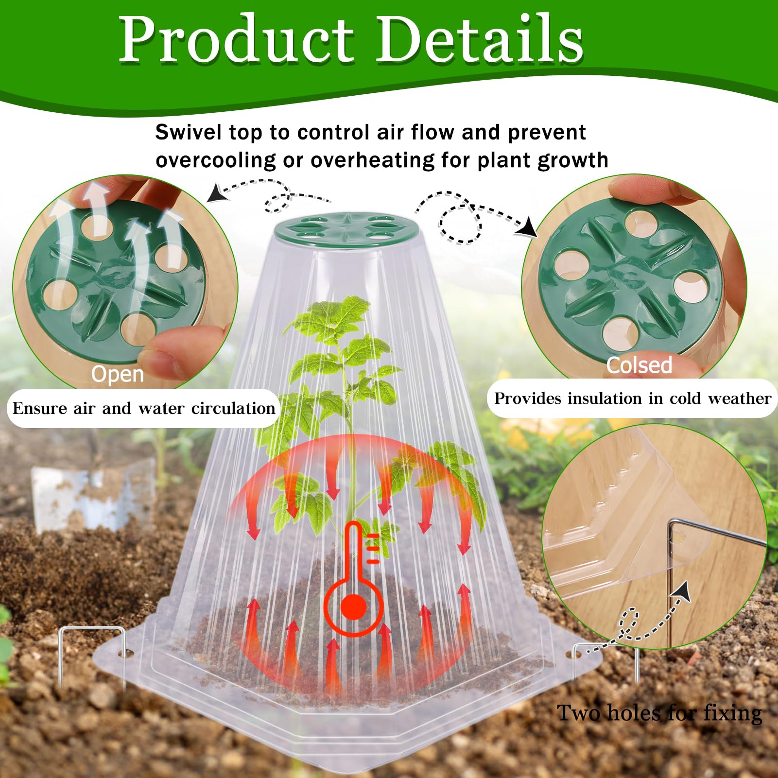 VICAMB clear bell cover top view showing transparent material for sunlight access