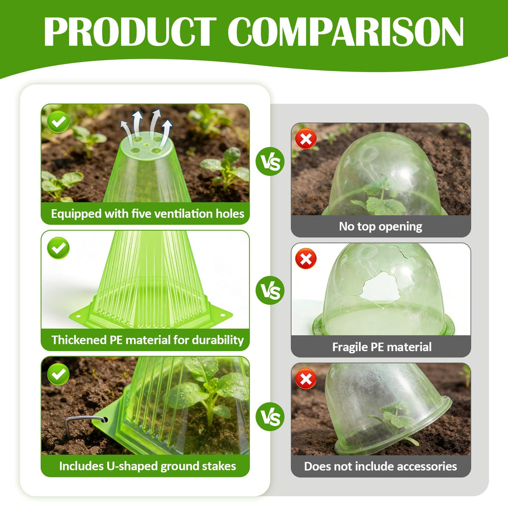 VICAMB cloche covering a young seedling demonstrating warmth retention and growth benefit