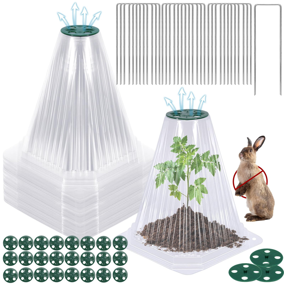 VICAMB front view of 40 cloches and 80 stakes showing complete set and easy setup