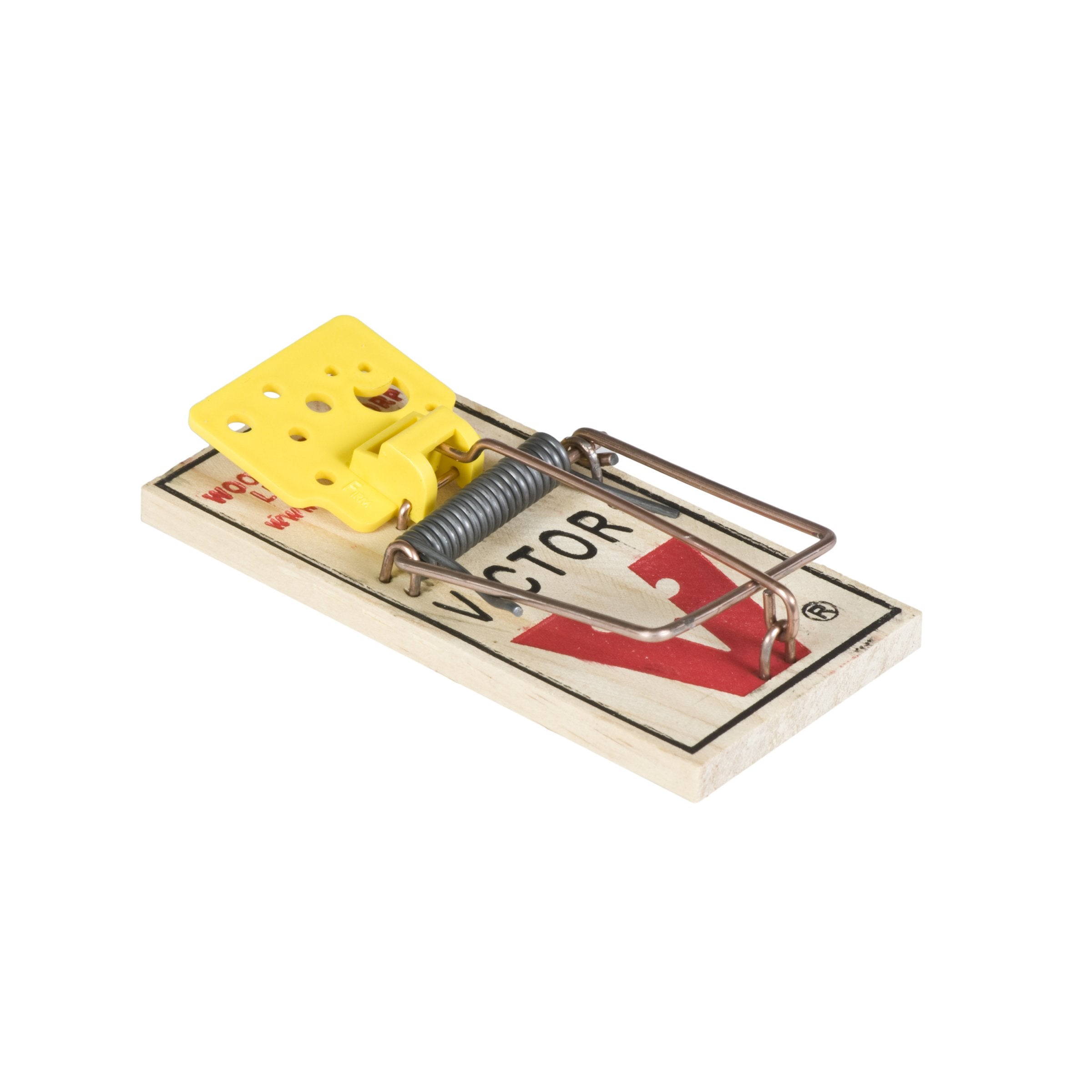 Victor close-up of scented cheese pedal attracting mice for faster catches