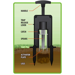 Victor DeadSet installed in a mole tunnel showing spears hidden below ground for safety