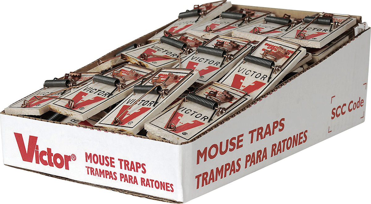 Victor metal pedal mouse trap front view showing sturdy snap action for fast capture