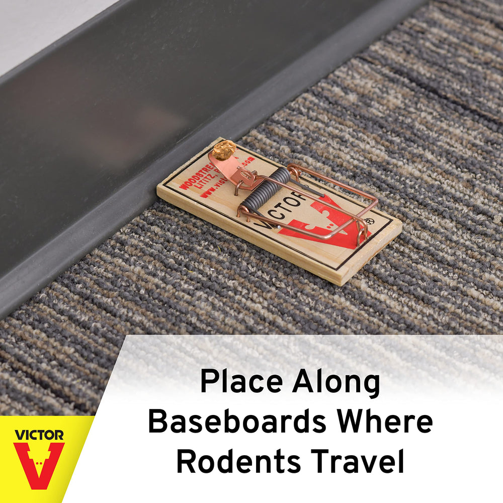 Victor trap placed under shelf near baseboard showing discreet pest control