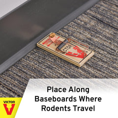 Victor trap placed under shelf near baseboard showing discreet pest control