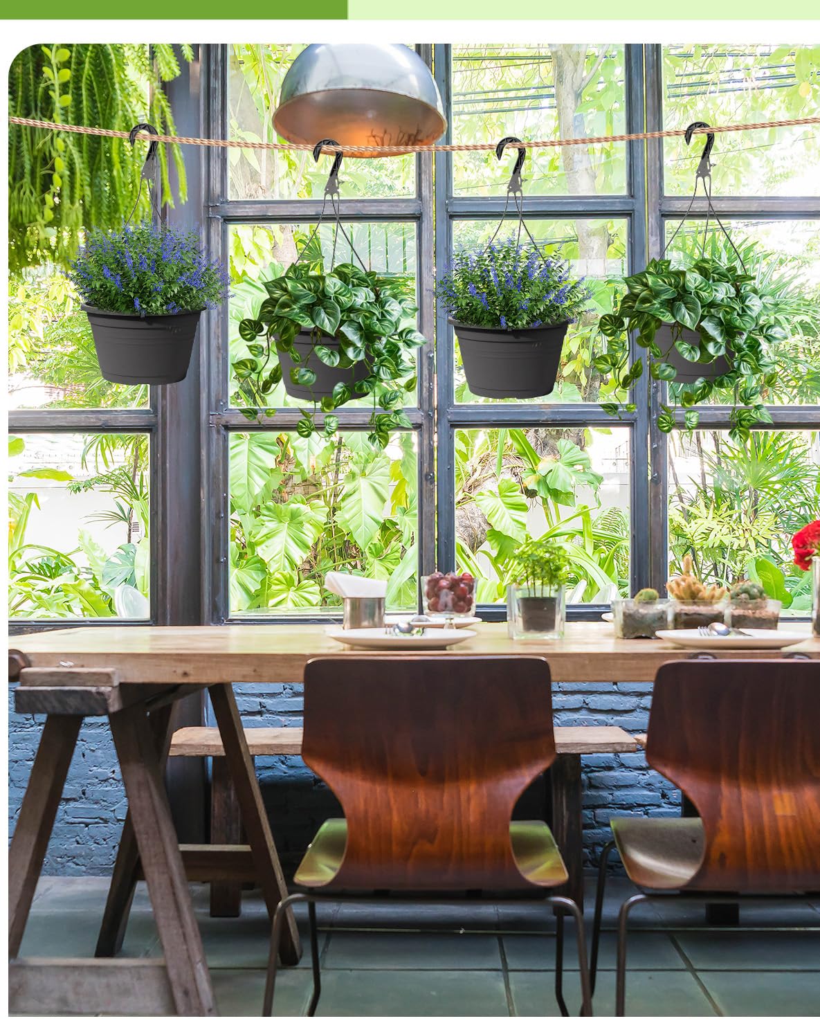VIDELLY hanging on balcony with ivy and succulents, adds greenery benefit