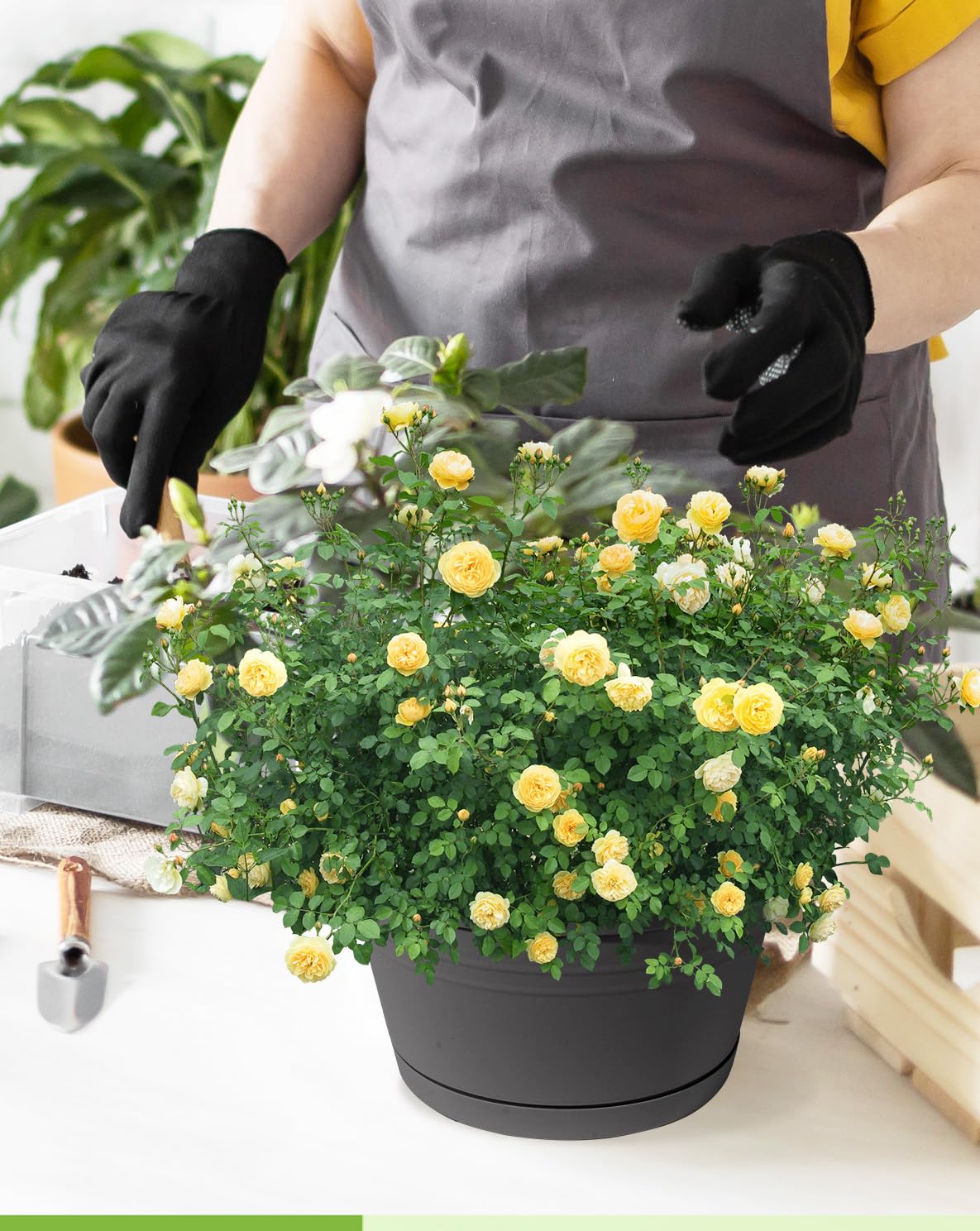 VIDELLY planter placed on table as freestanding pot, versatile placement benefit