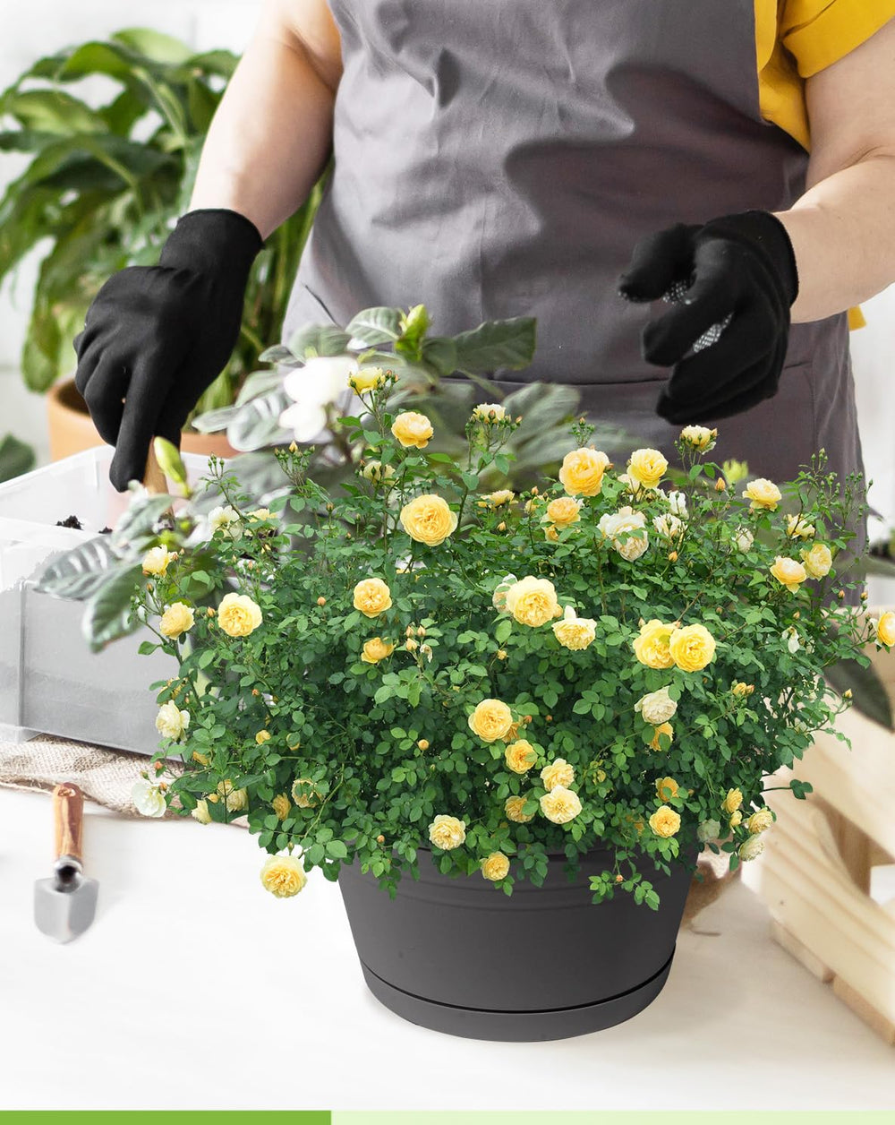 VIDELLY planter placed on table as freestanding pot, versatile placement benefit