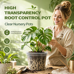 VIGORTIES close-up of transparent pot wall for quick root and moisture checks