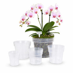 VIGORTIES front packaging showing 15 clear nursery pots and tags for easy organization