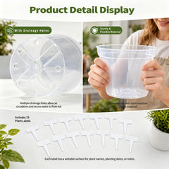 VIGORTIES arranged sizes 4-10 inches to show scale and growth stage options