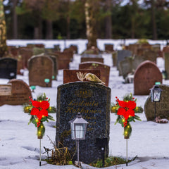 VIHOSE installed at a gravesite showing gentle illumination benefit