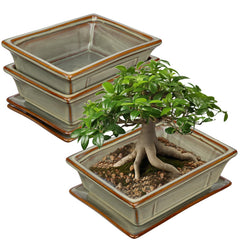 Villa Como front view of two brown glazed bonsai pots showing balanced symmetry and elegance