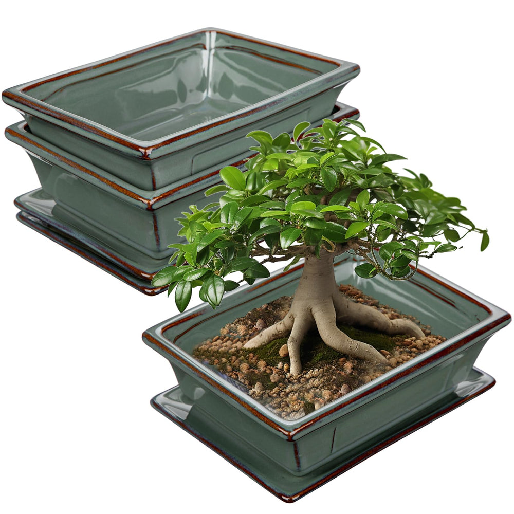 Villa Como front view of two green glazed bonsai pots showing elegant finish