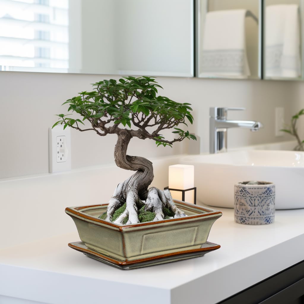 Villa Como lifestyle scene on a windowsill illustrating natural light display and calming presence