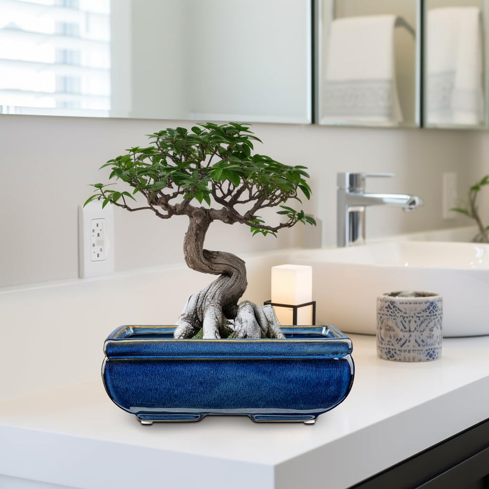 Villa Como secure Styrofoam packaging protecting pots during delivery benefit