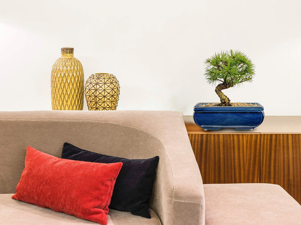 Villa Como pair on windowsill styling an interior space with timeless ceramic benefit