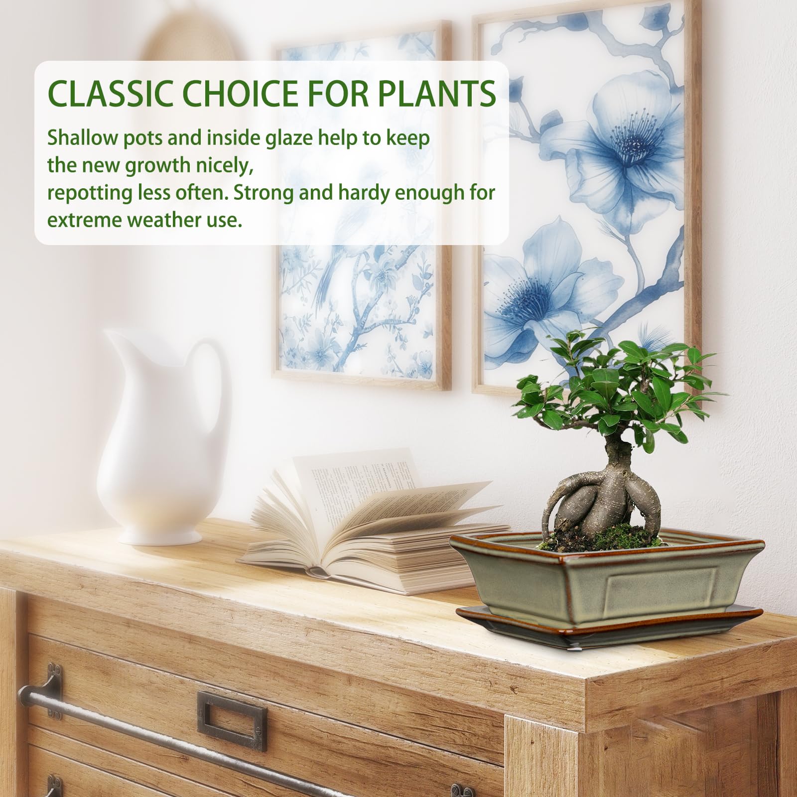 Villa Como pair of pots staged with a jade plant showing how they elevate desk decor