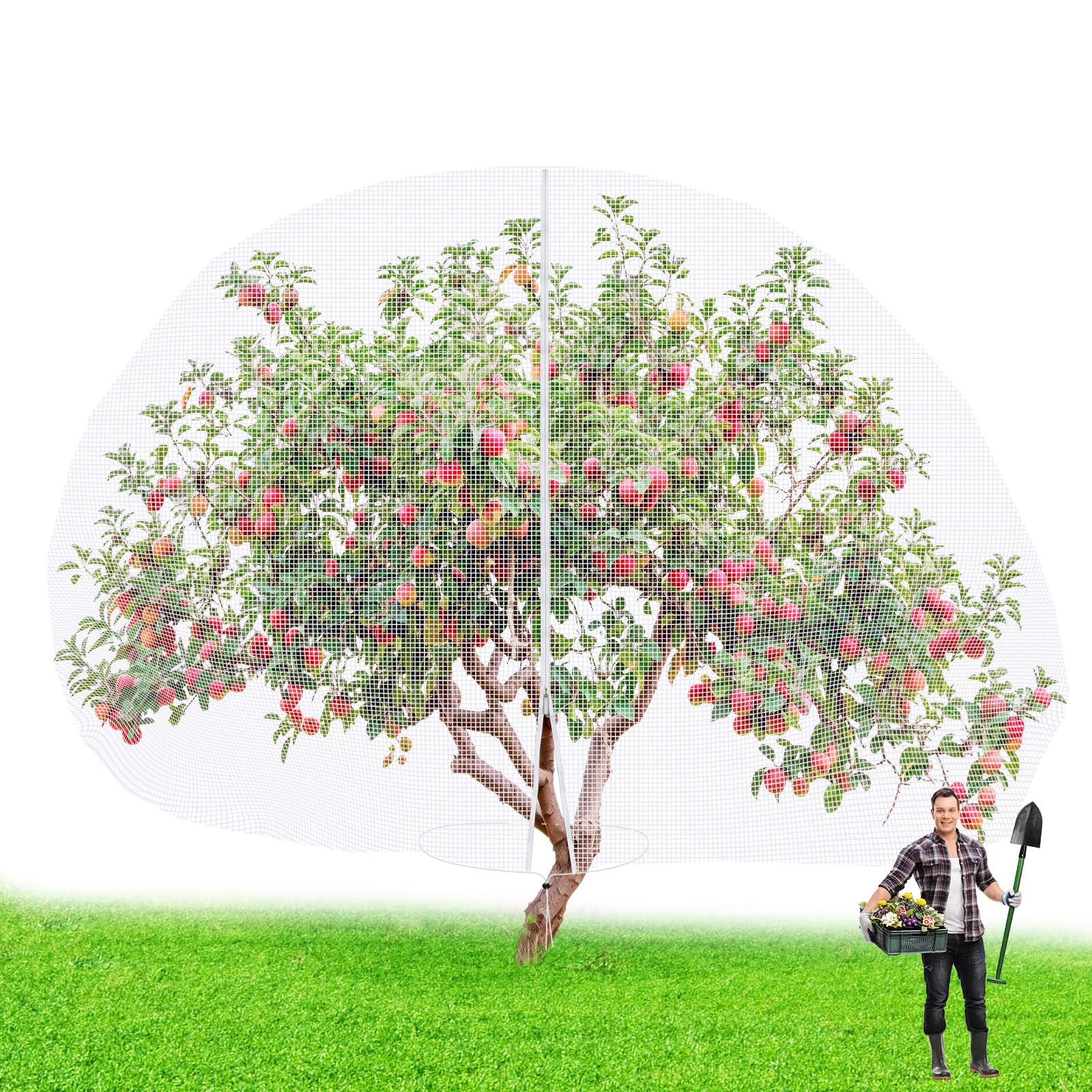 Vincreem front view of net covering a small fruit tree, protects harvest