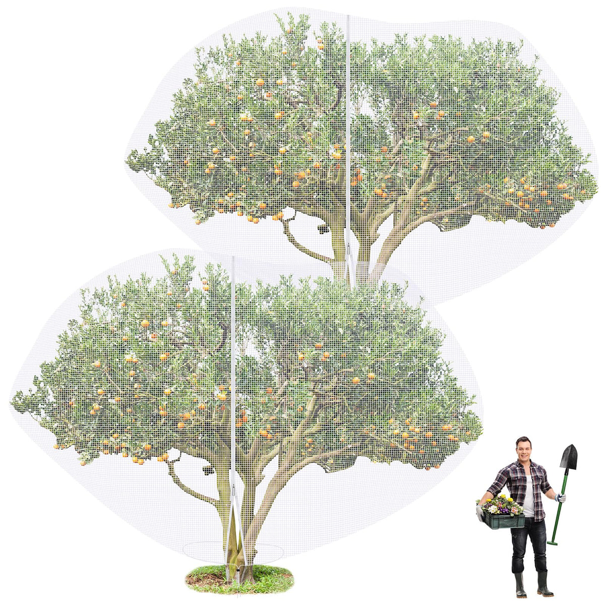 Vincreem front view of net on tree showing full coverage and pest protection