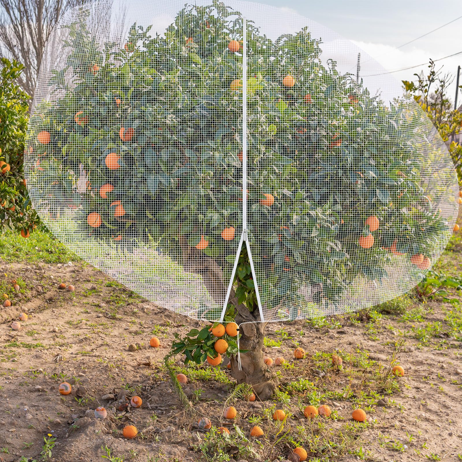 Vincreem gardener harvesting fruit through open zipper for convenient access
