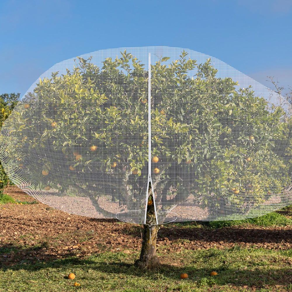 Vincreem garden scene with net on trees, keeps birds and squirrels away