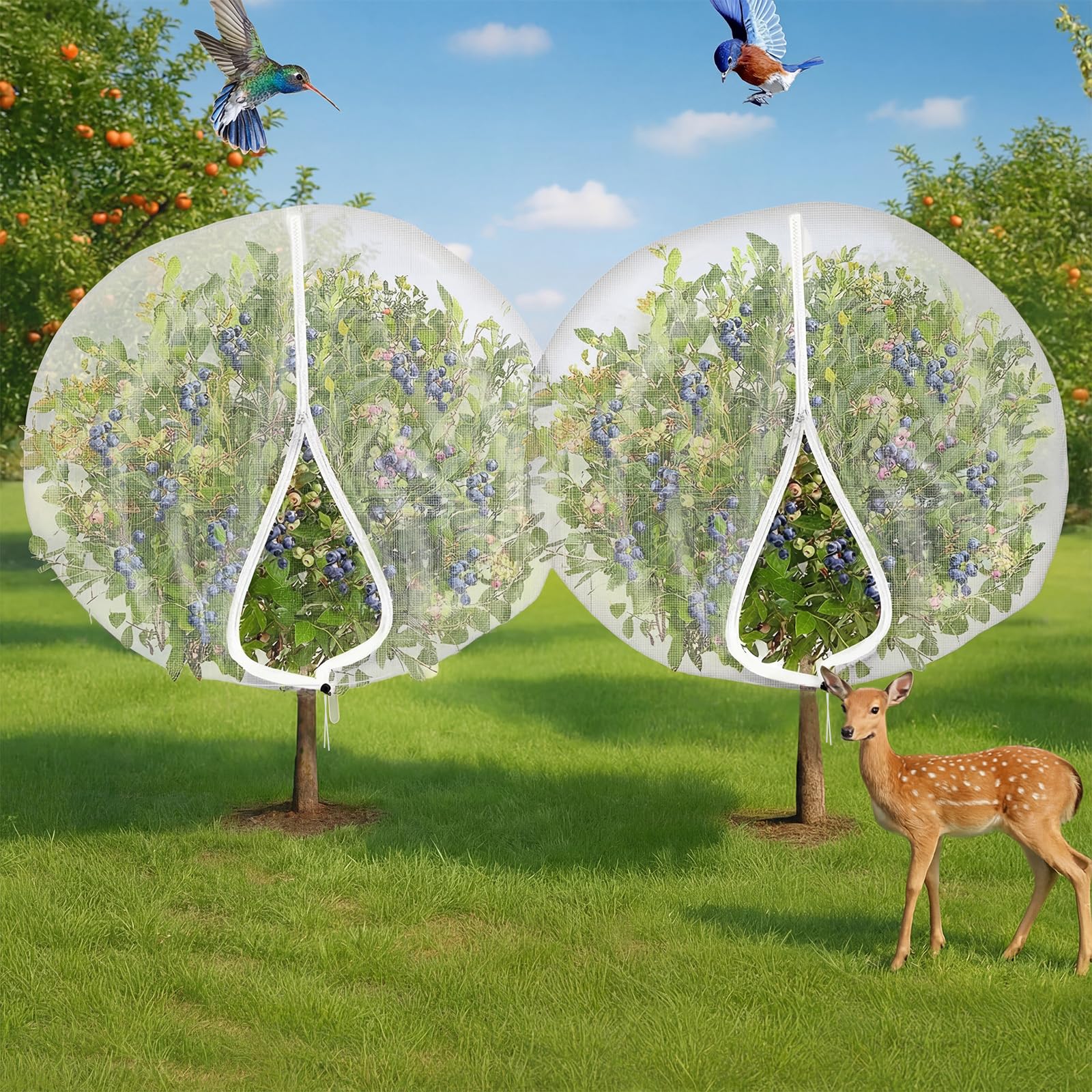 Vincreem net over fruit tree in garden illustrating pest protection