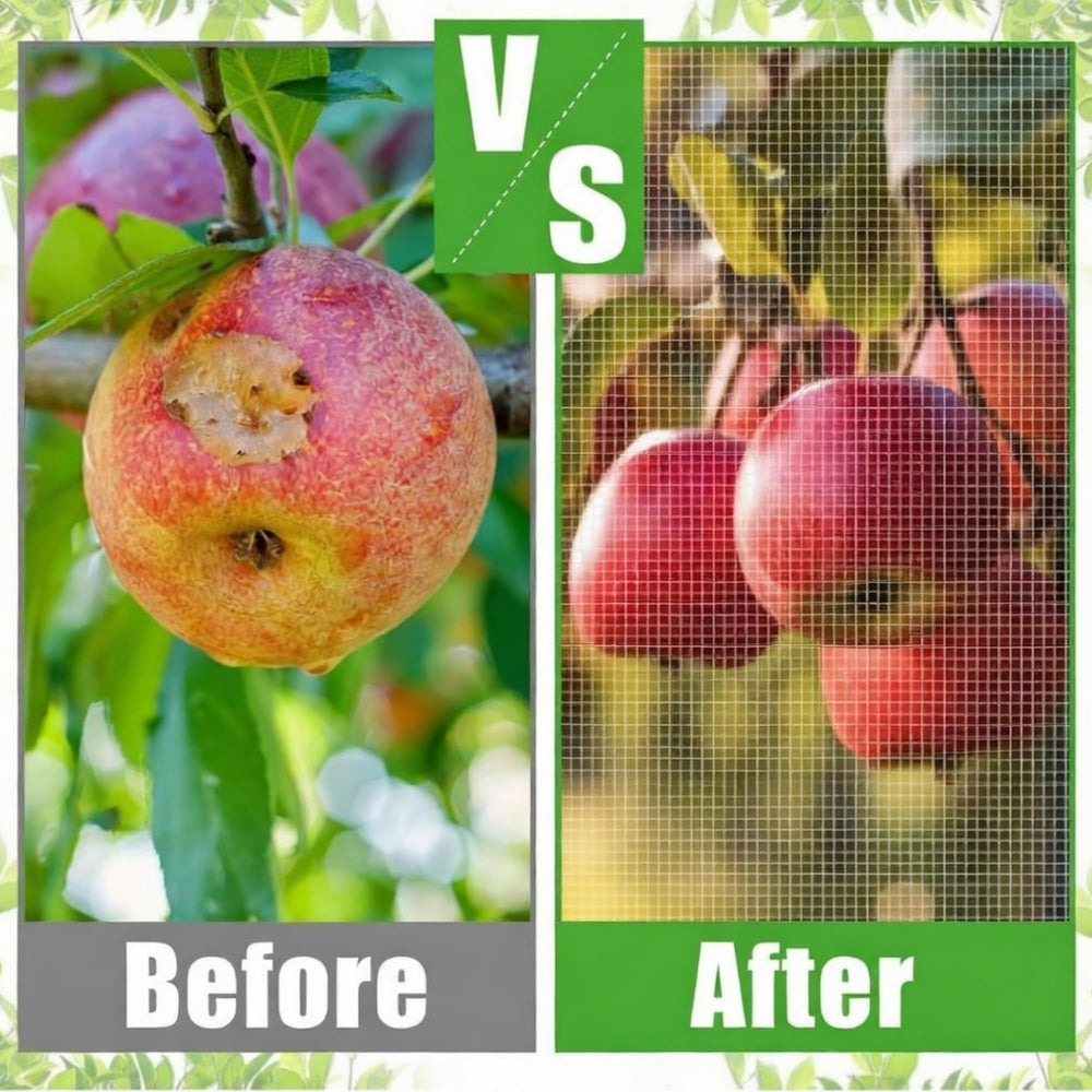 Vincreem netting installed on fruit tree protecting fruit from birds