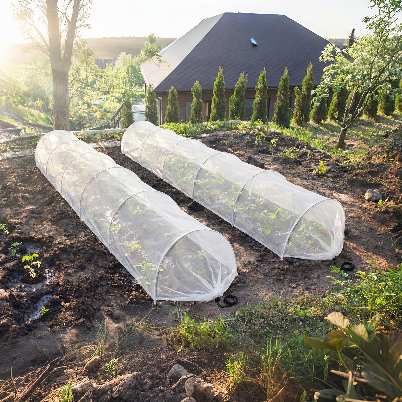 Vincreem side profile with hoops giving plant headroom and support