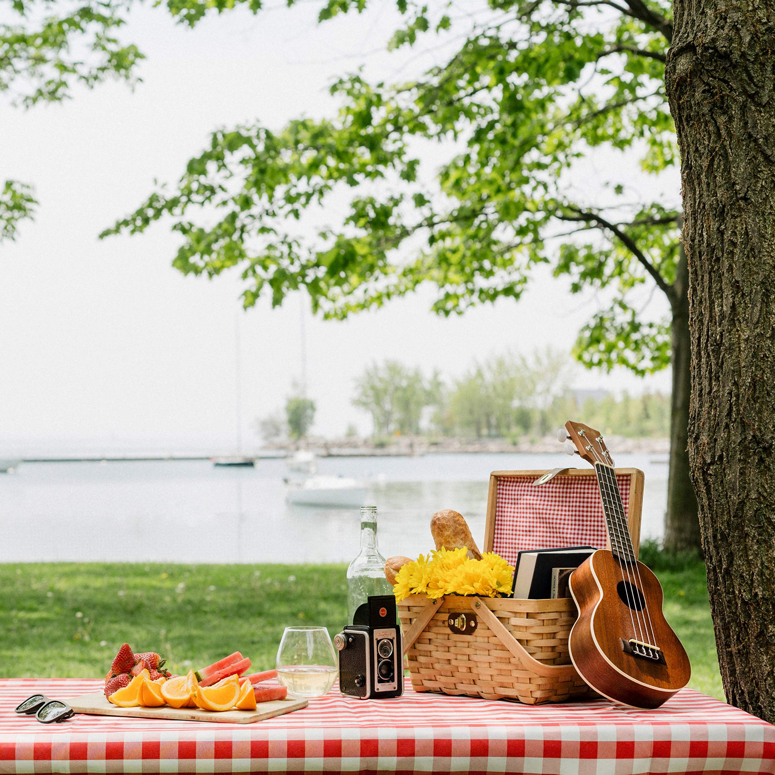 Vintiquewise basket staged at a park picnic demonstrating convenience and attractive styling