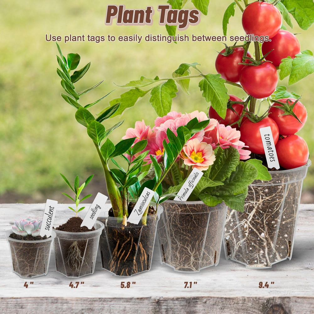 VIOBEPASS pressed pot demonstrating flexible sides for easy transplanting
