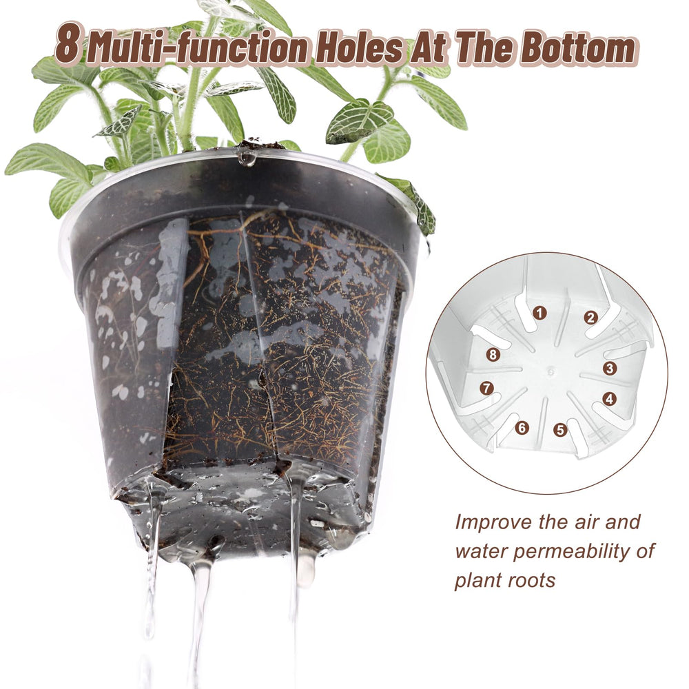 VIOBEPASS translucent pot showing roots for easy monitoring benefit