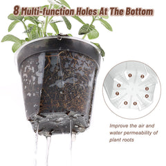 VIOBEPASS translucent pot showing roots for easy monitoring benefit