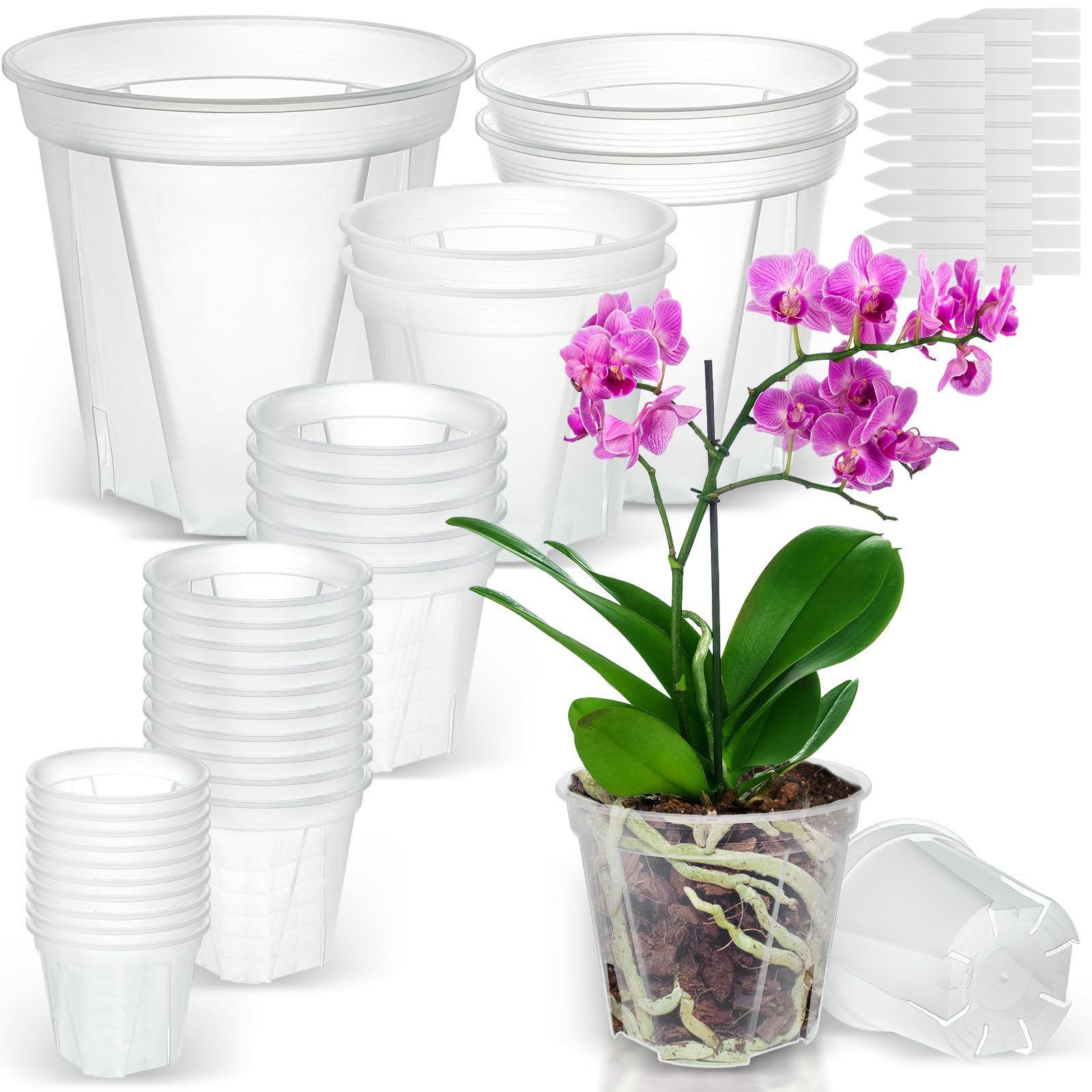 VIOBEPASS front view of mixed-size clear nursery pots showing packaging benefit
