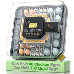 VIOPUMPO front view showing incubator panels and arranged egg trays for organized hatching