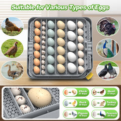 VIOPUMPO open top with adjustable trays demonstrating flexible capacity for different eggs