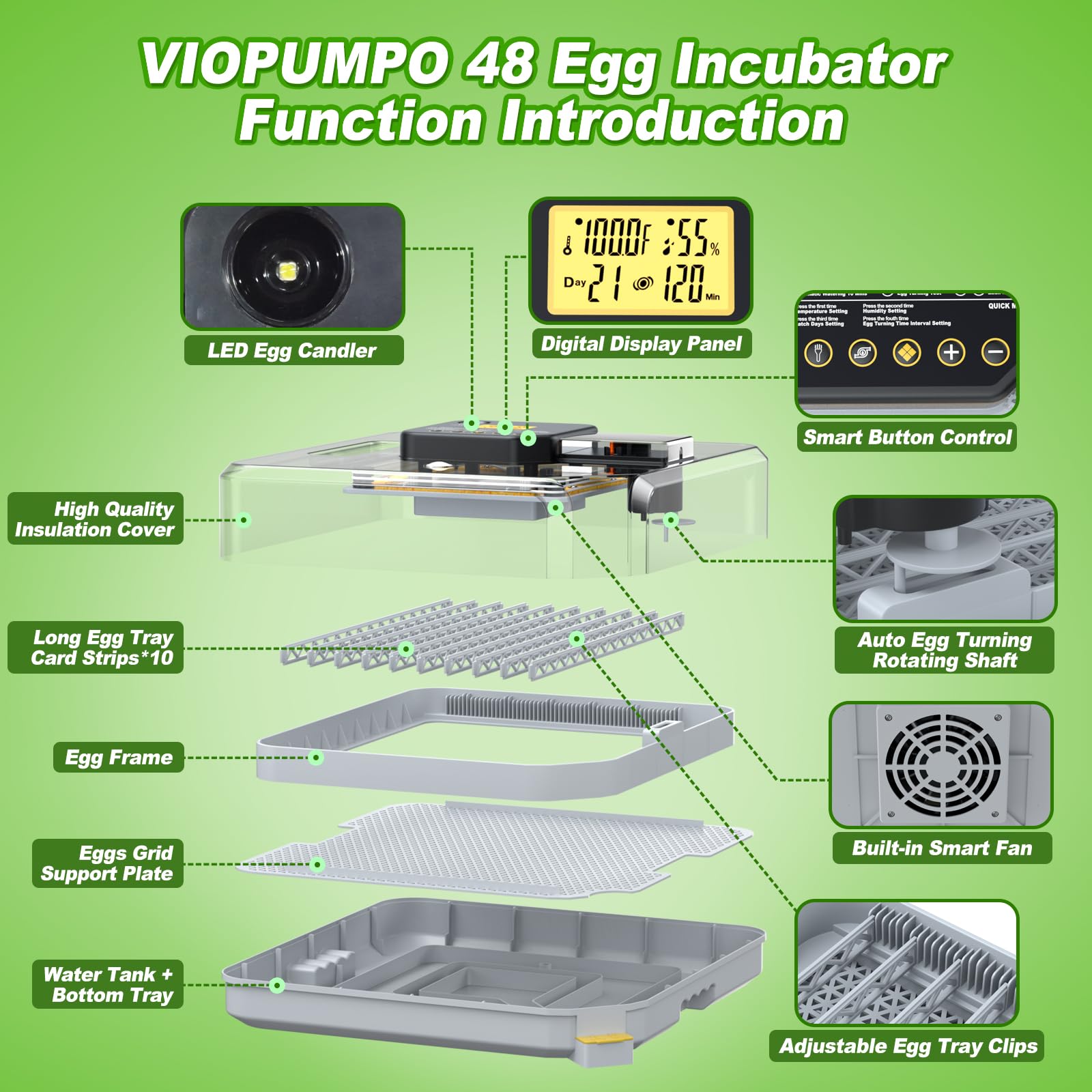 VIOPUMPO next to chicken eggs showing scale and capacity for home poultry projects