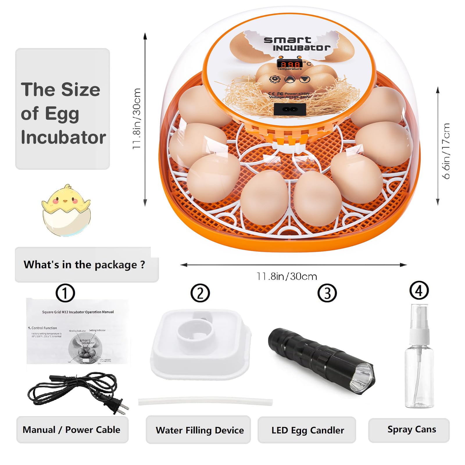 Viowey in classroom setting demonstrating educational hatchability benefit