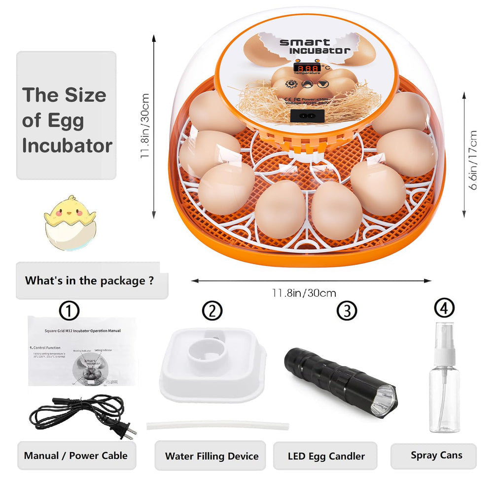 Viowey in classroom setting demonstrating educational hatchability benefit