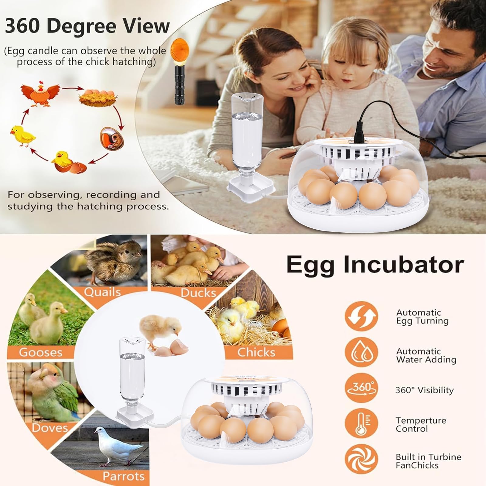 Viowey LED egg candler in use revealing embryo development for convenient inspection