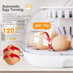 Viowey egg tray loaded with assorted eggs showing organized capacity and efficient layout