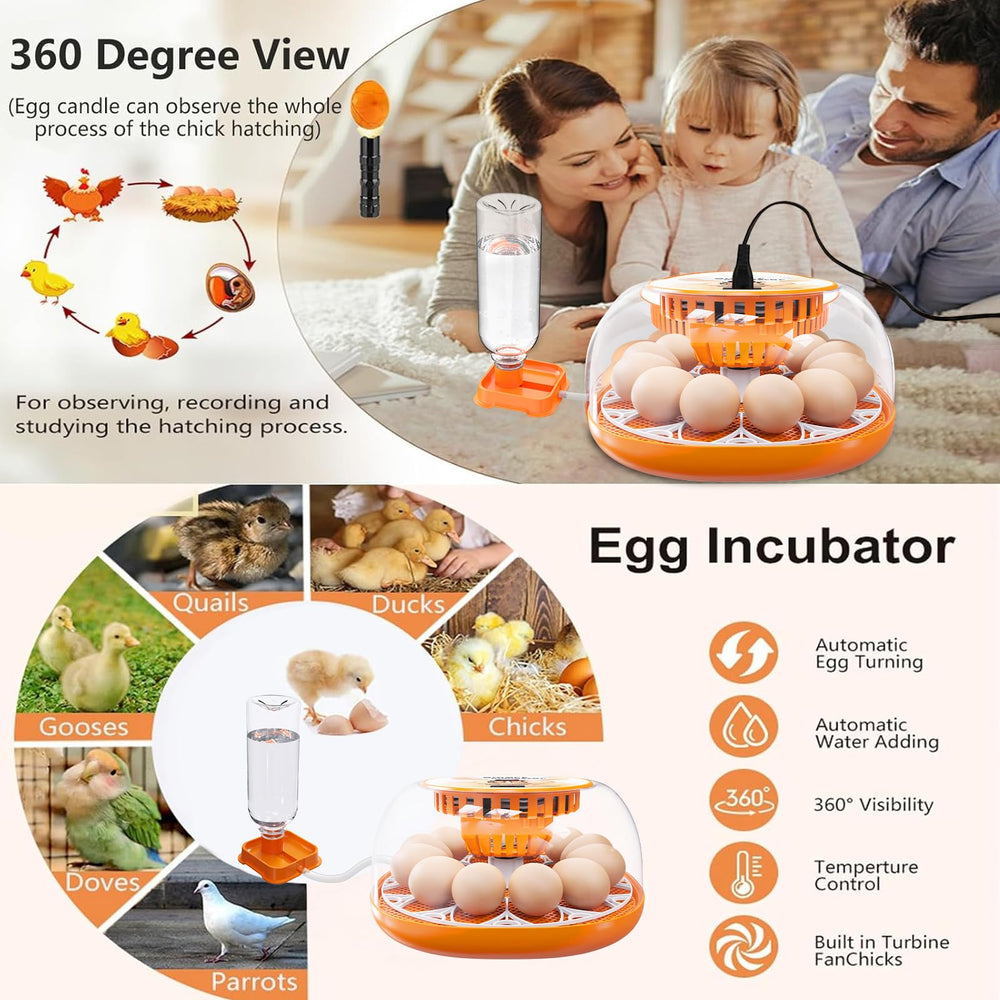 Viowey side profile showing twelve eggs to show compact-capacity benefit