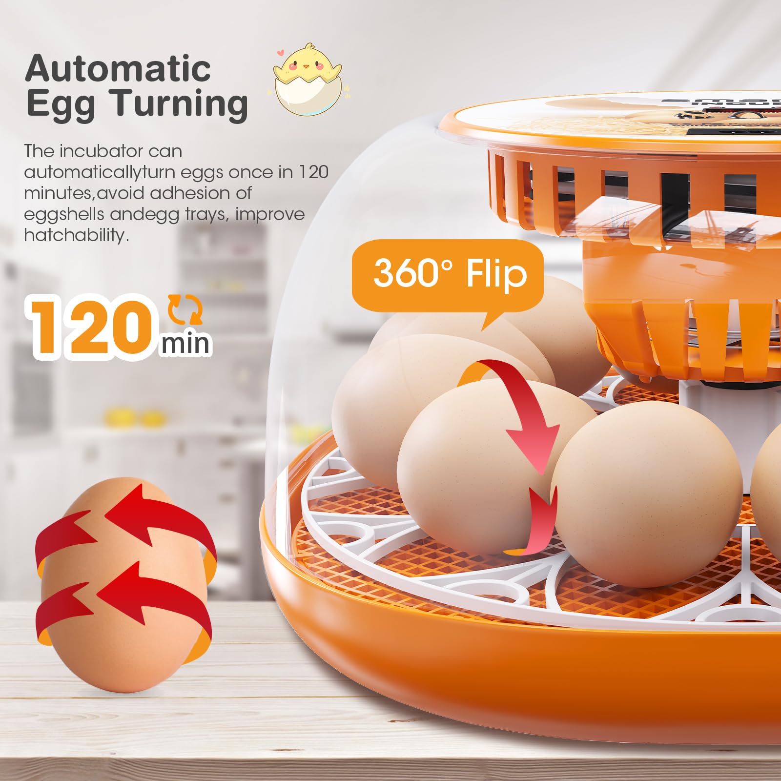 Viowey top view displaying egg tray layout for efficient space use benefit