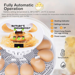 Viowey transparent 360-degree lid detail letting users observe embryos without opening