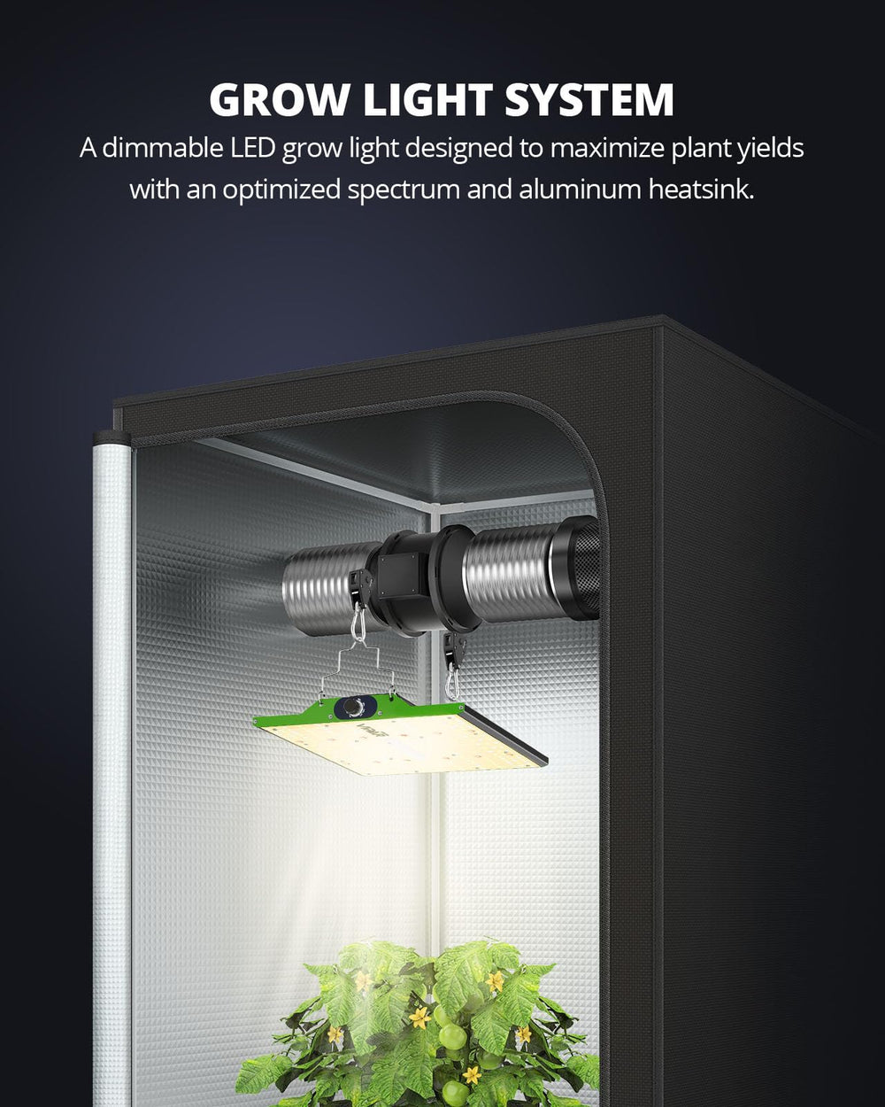 VIPARSPECTRA illuminating seedlings to promote even emergence and healthy early growth