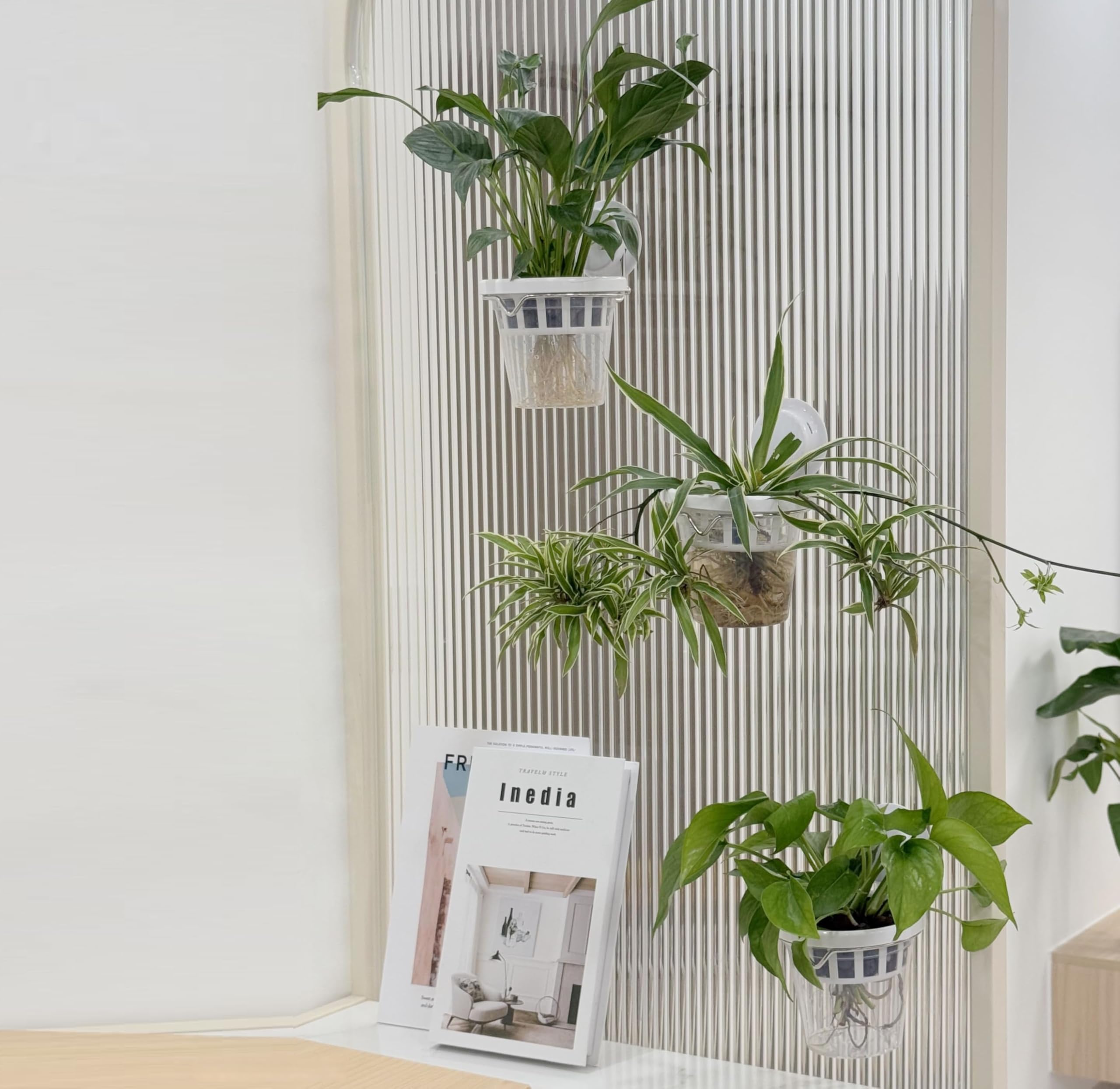 VirgoLeo stainless-steel holder detail highlighting durable support and rust-resistant benefit