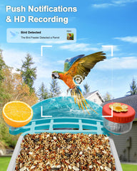 VISIOGEAR feeder and bath in use with multiple birds, increasing backyard activity