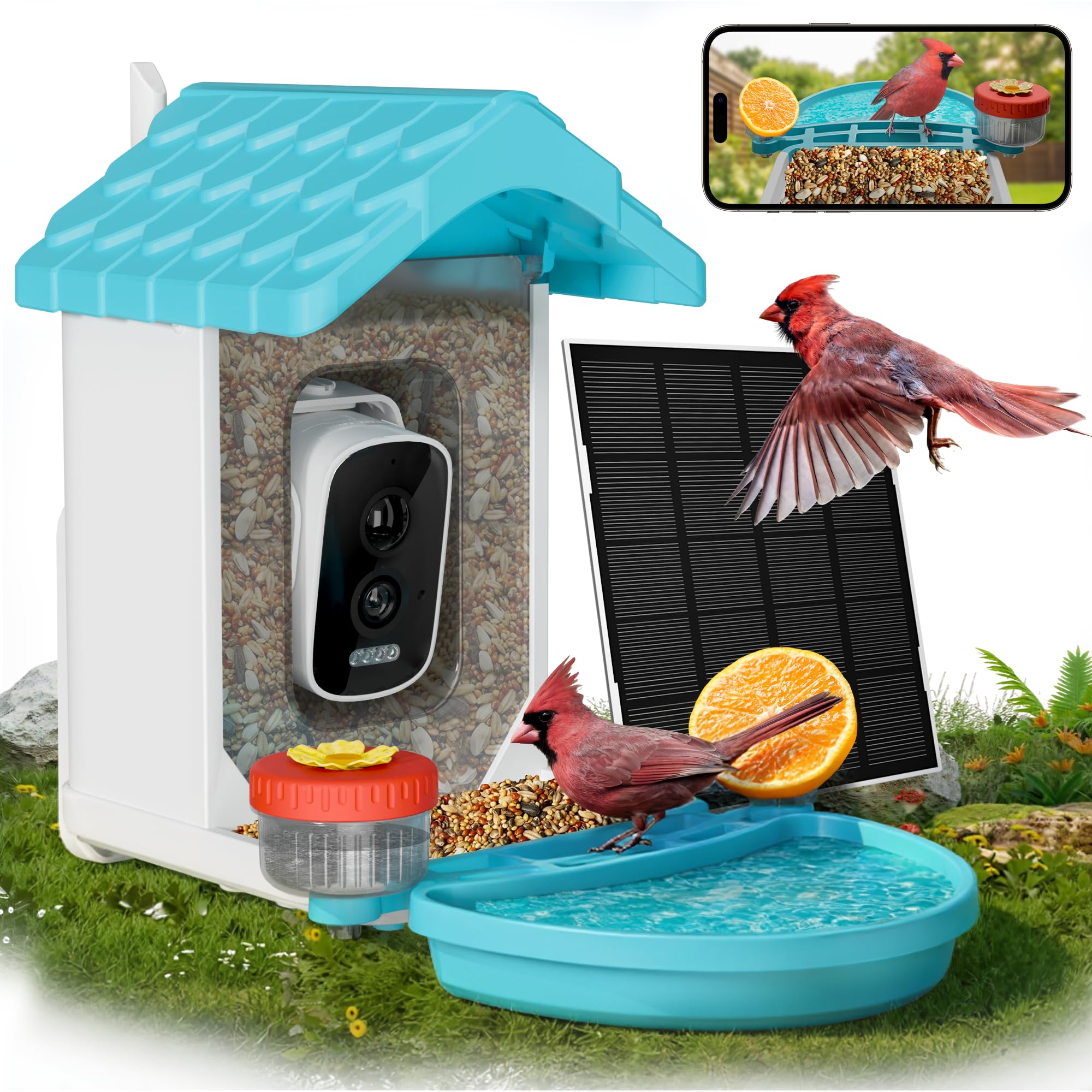 VISIOGEAR front view showing feeder and bath, inviting more backyard birds