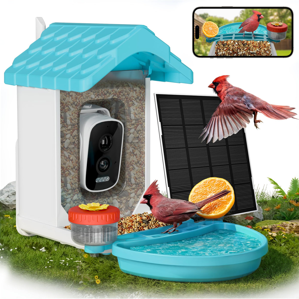 VISIOGEAR front view showing feeder and bath, inviting more backyard birds